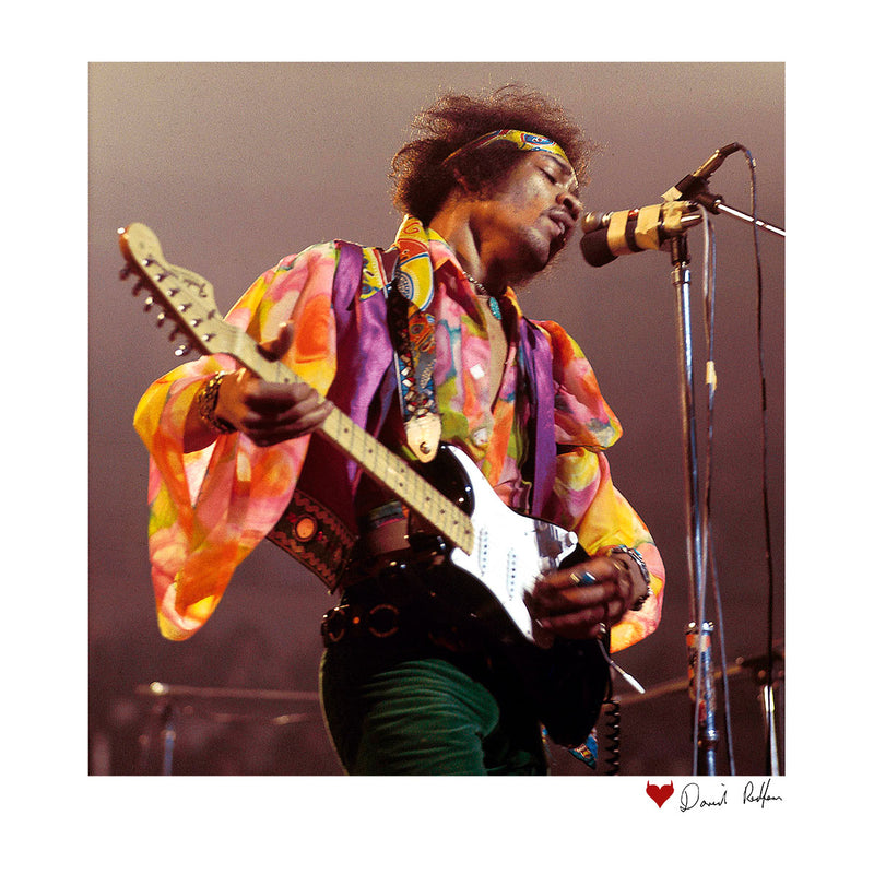 Jimi Hendrix At The Royal Albert Hall 1969 B&W White